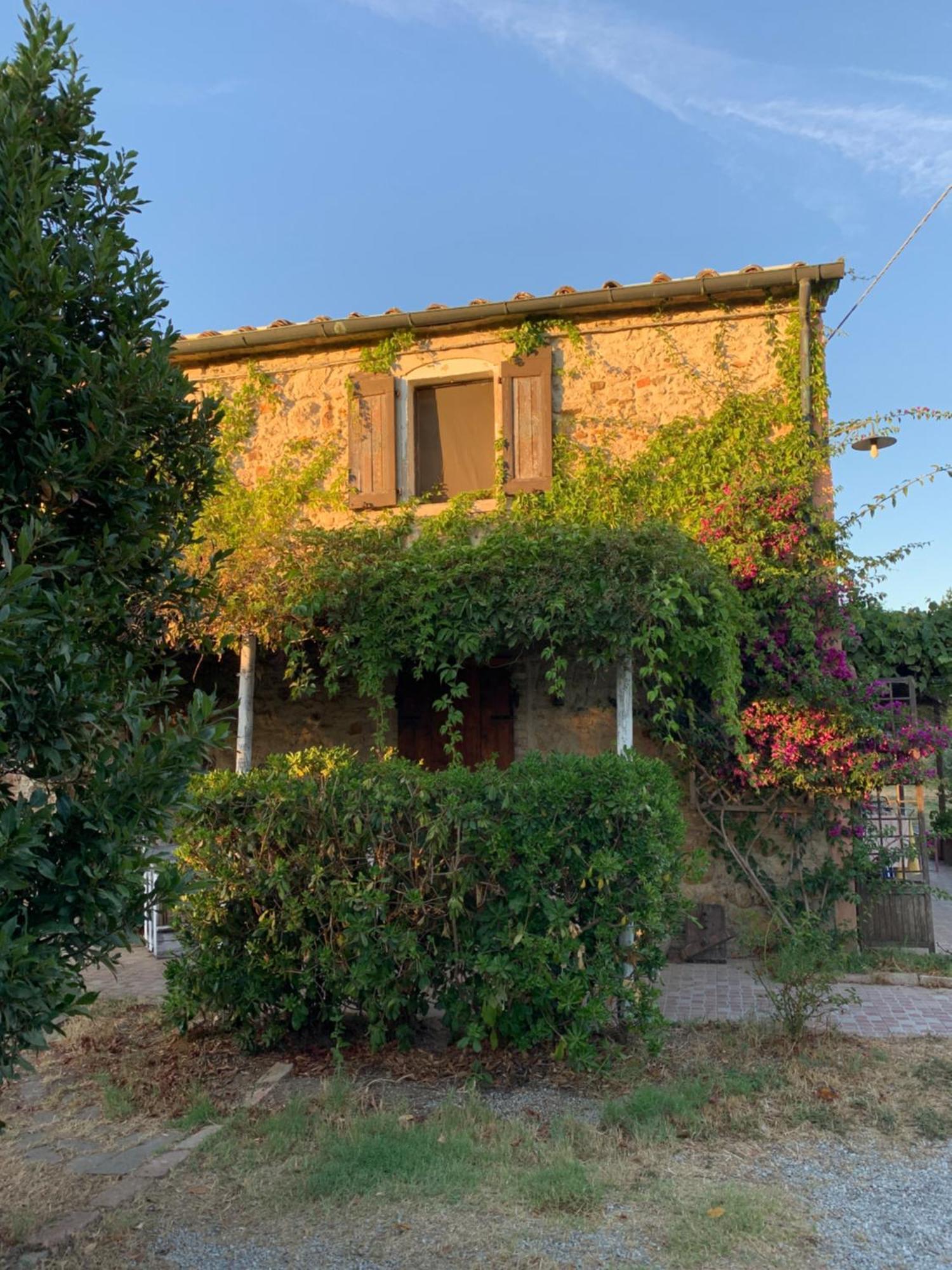 Podere Girasoli Piombino Luaran gambar