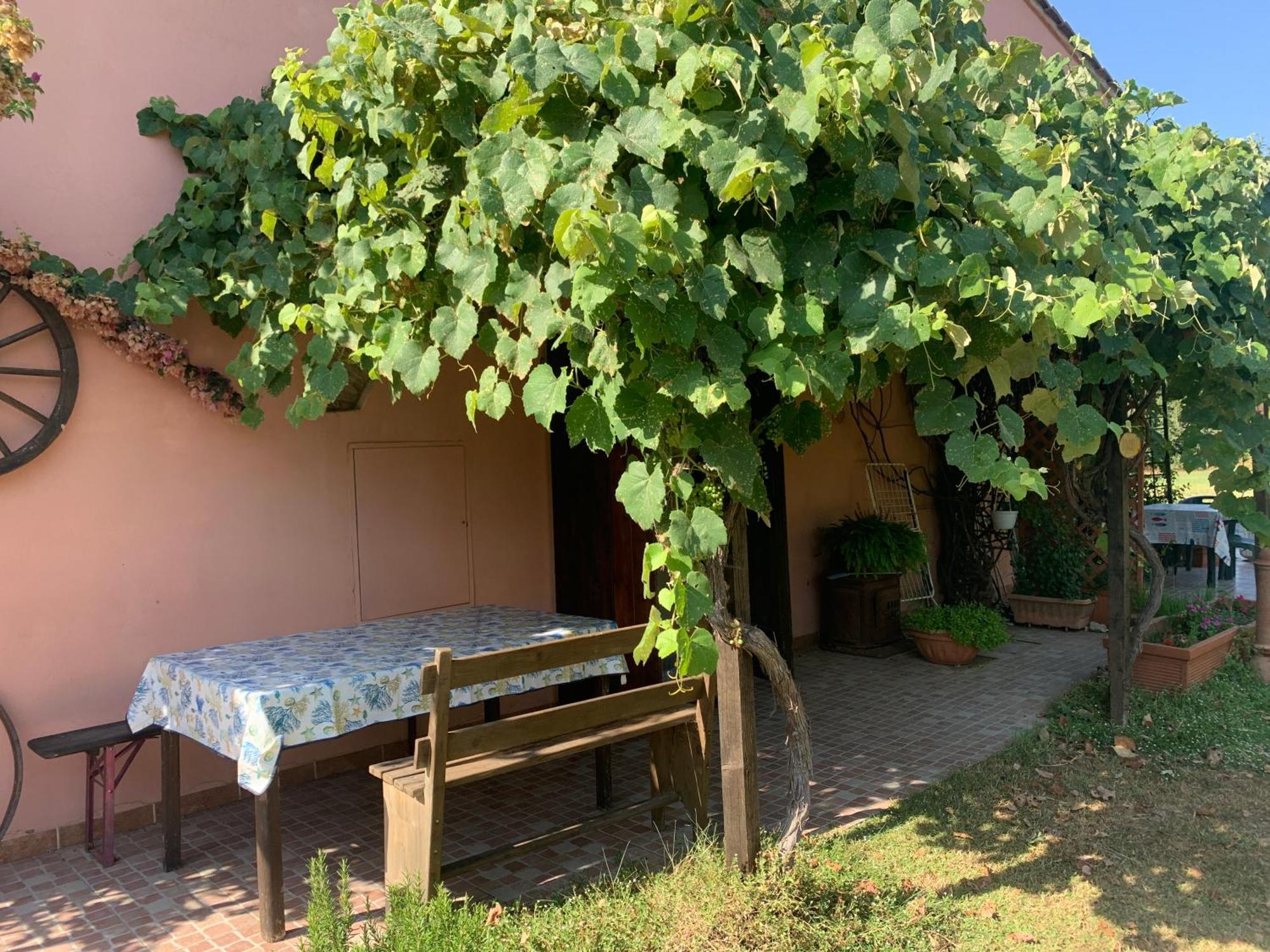 Podere Girasoli Piombino Luaran gambar