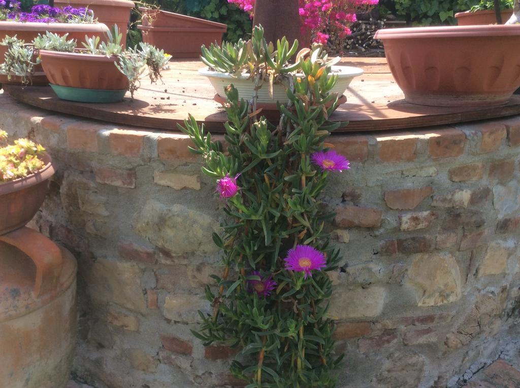 Podere Girasoli Piombino Luaran gambar